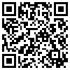 QR Code Handyversion