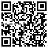 QR Code Handyversion