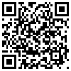 QR Code Handyversion