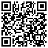 QR Code Handyversion