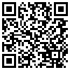 QR Code Handyversion