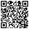 QR Code Handyversion