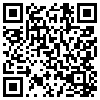 QR Code Handyversion