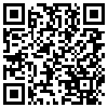 QR Code Handyversion