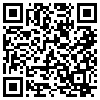 QR Code Handyversion