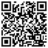 QR Code Handyversion