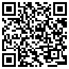 QR Code Handyversion