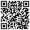 QR Code Handyversion