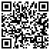 QR Code Handyversion