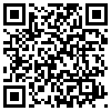 QR Code Handyversion