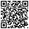 QR Code Handyversion