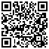 QR Code Handyversion