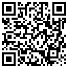 QR Code Handyversion