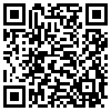 QR Code Handyversion