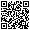 QR Code Handyversion