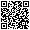 QR Code Handyversion