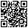 QR Code Handyversion