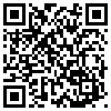 QR Code Handyversion