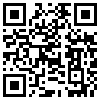 QR Code Handyversion