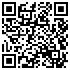 QR Code Handyversion