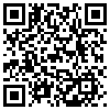 QR Code Handyversion