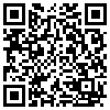 QR Code Handyversion