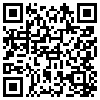 QR Code Handyversion