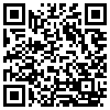 QR Code Handyversion