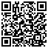 QR Code Handyversion