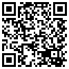 QR Code Handyversion