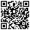 QR Code Handyversion