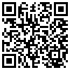 QR Code Handyversion