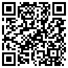 QR Code Handyversion