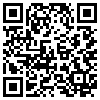 QR Code Handyversion