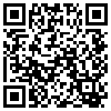 QR Code Handyversion