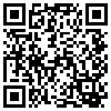 QR Code Handyversion