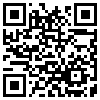 QR Code Handyversion