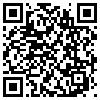 QR Code Handyversion