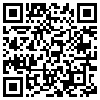 QR Code Handyversion