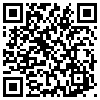 QR Code Handyversion