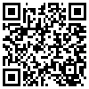 QR Code Handyversion