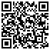 QR Code Handyversion