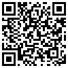 QR Code Handyversion