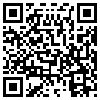 QR Code Handyversion