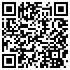 QR Code Handyversion