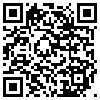 QR Code Handyversion