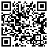 QR Code Handyversion