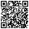 QR Code Handyversion