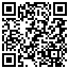 QR Code Handyversion