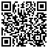 QR Code Handyversion